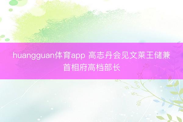 huangguan体育app 高志丹会见文莱王储兼首相府高档部长