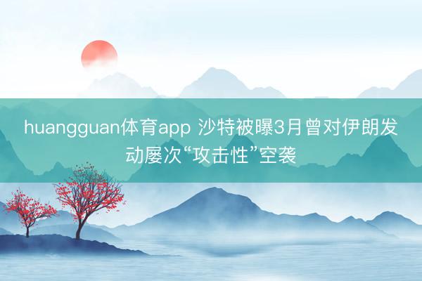 huangguan体育app 沙特被曝3月曾对伊朗发动屡次“攻击性”空袭