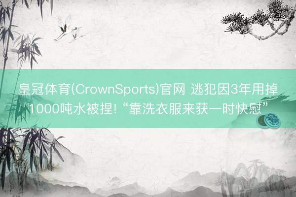 皇冠体育(CrownSports)官网 逃犯因3年用掉1000吨水被捏! “靠洗衣服来获一时快慰”