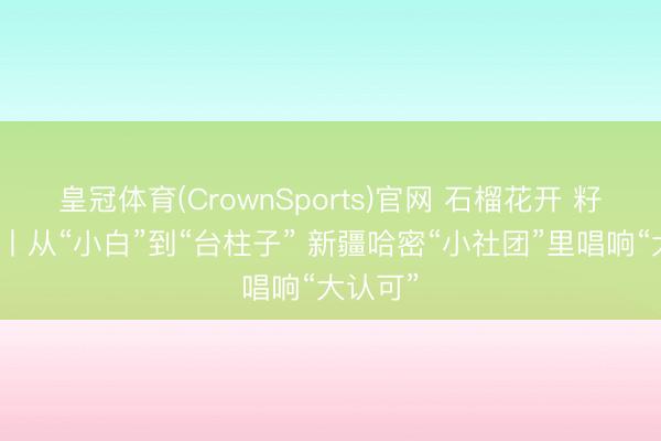 皇冠体育(CrownSports)官网 石榴花开 籽籽齐心丨从“小白”到“台柱子” 新疆哈密“小社团”里唱响“大认可”