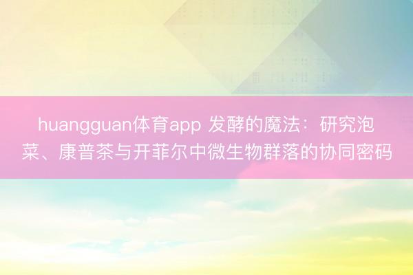 huangguan体育app 发酵的魔法：研究泡菜、康普茶与开菲尔中微生物群落的协同密码