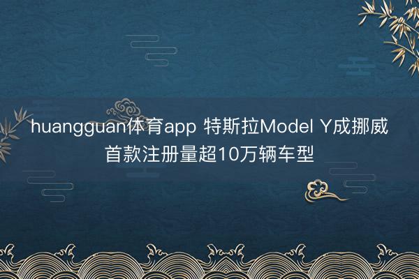 huangguan体育app 特斯拉Model Y成挪威首款注册量超10万辆车型
