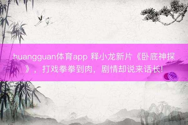 huangguan体育app 释小龙新片《卧底神探》，打戏拳拳到肉，剧情却说来话长!