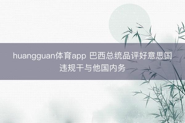 huangguan体育app 巴西总统品评好意思国违规干与他国内务